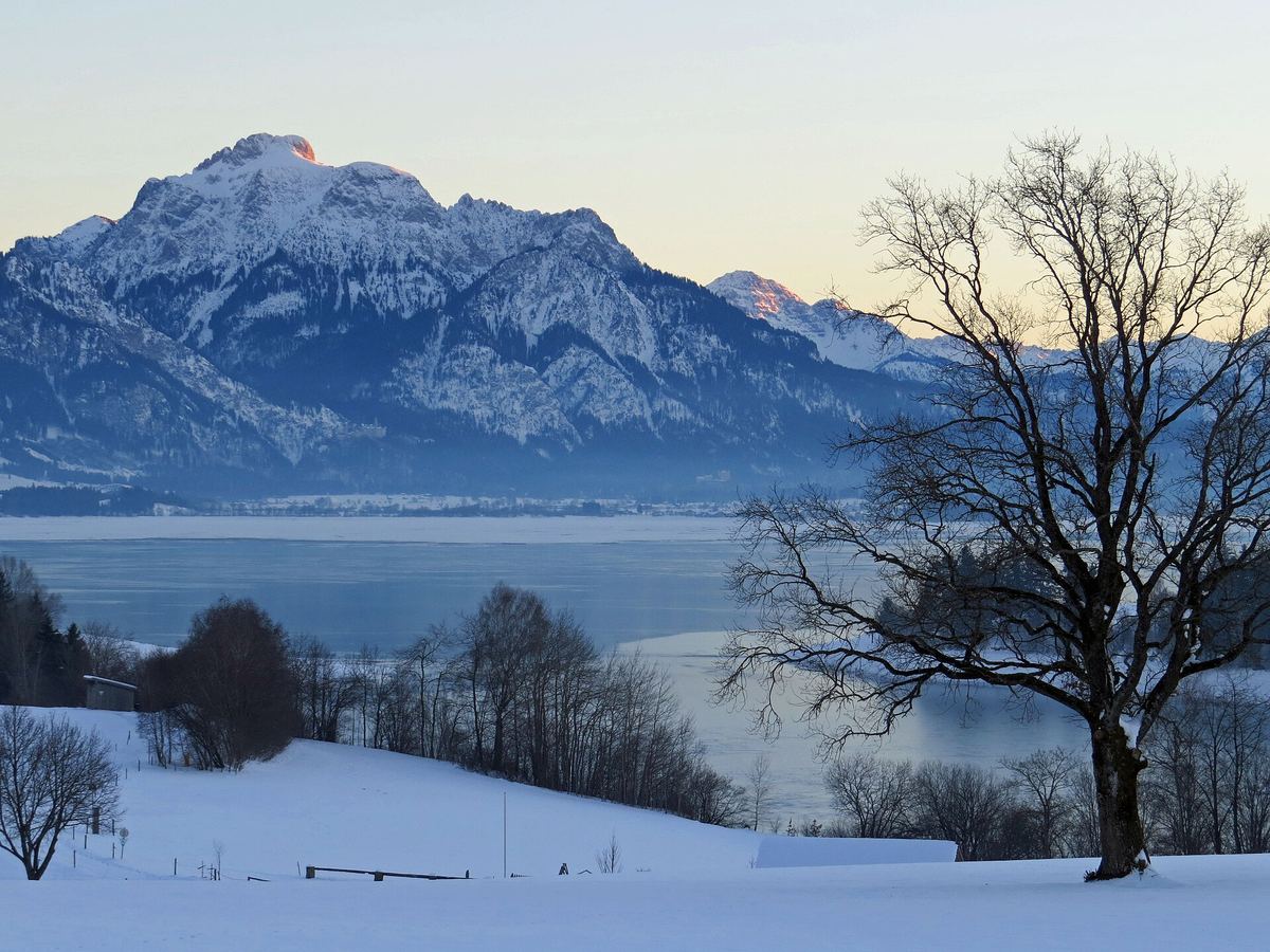 Abgesenkter Forggensee im Februar mit schneebedecktem Seeboden, dahinter die Berge